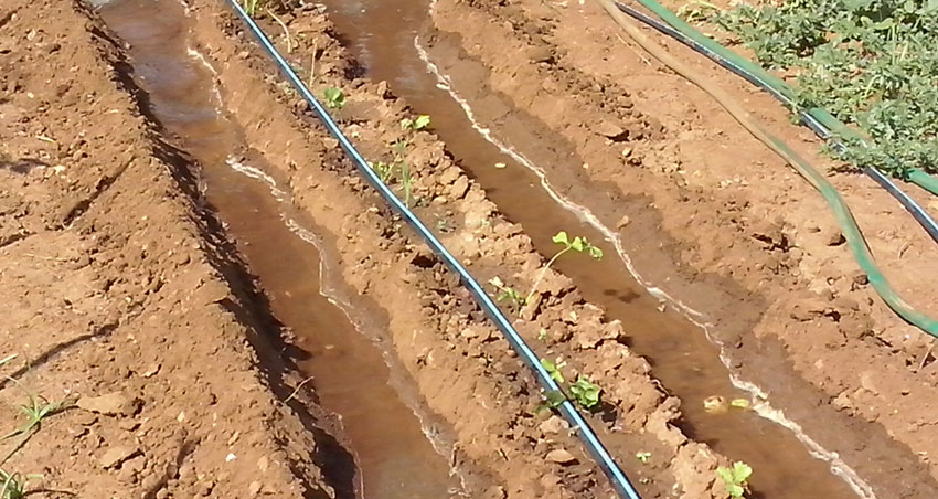 irrigazione-2